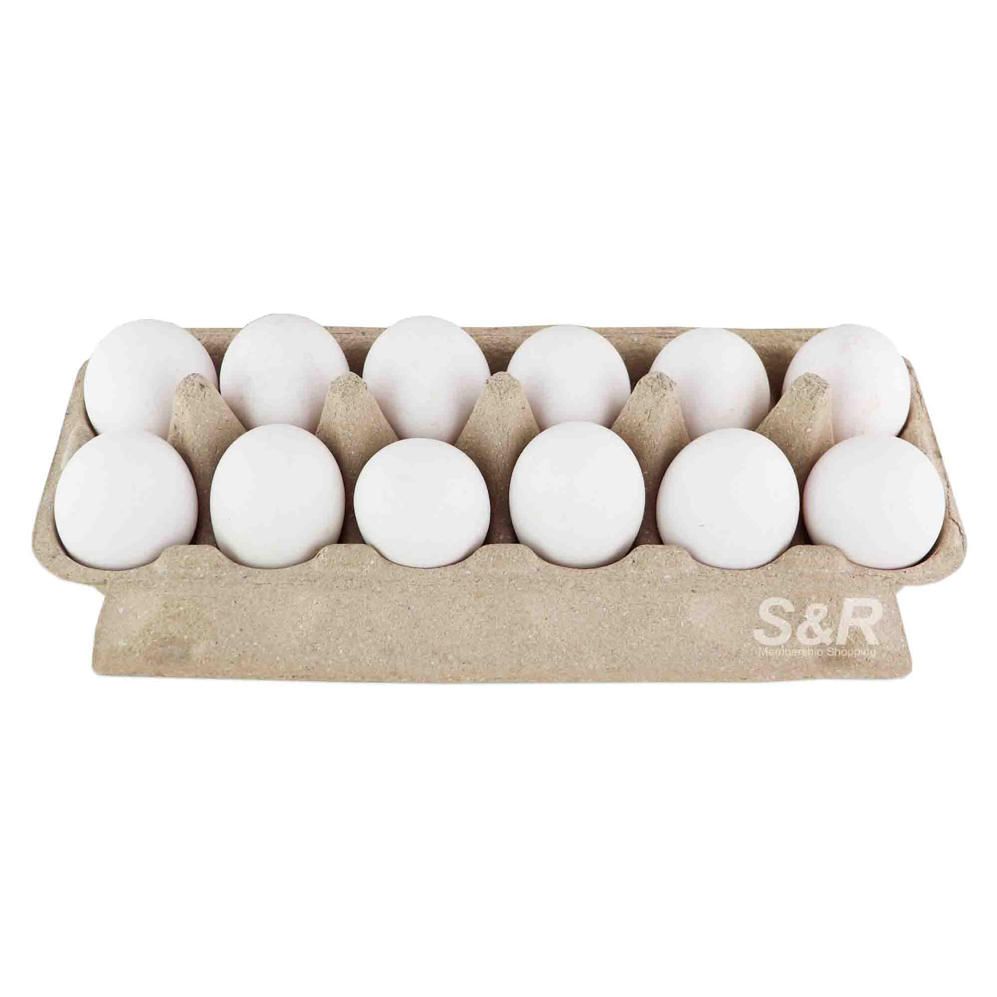 Bounty Fresh Large Eggs 12pcs